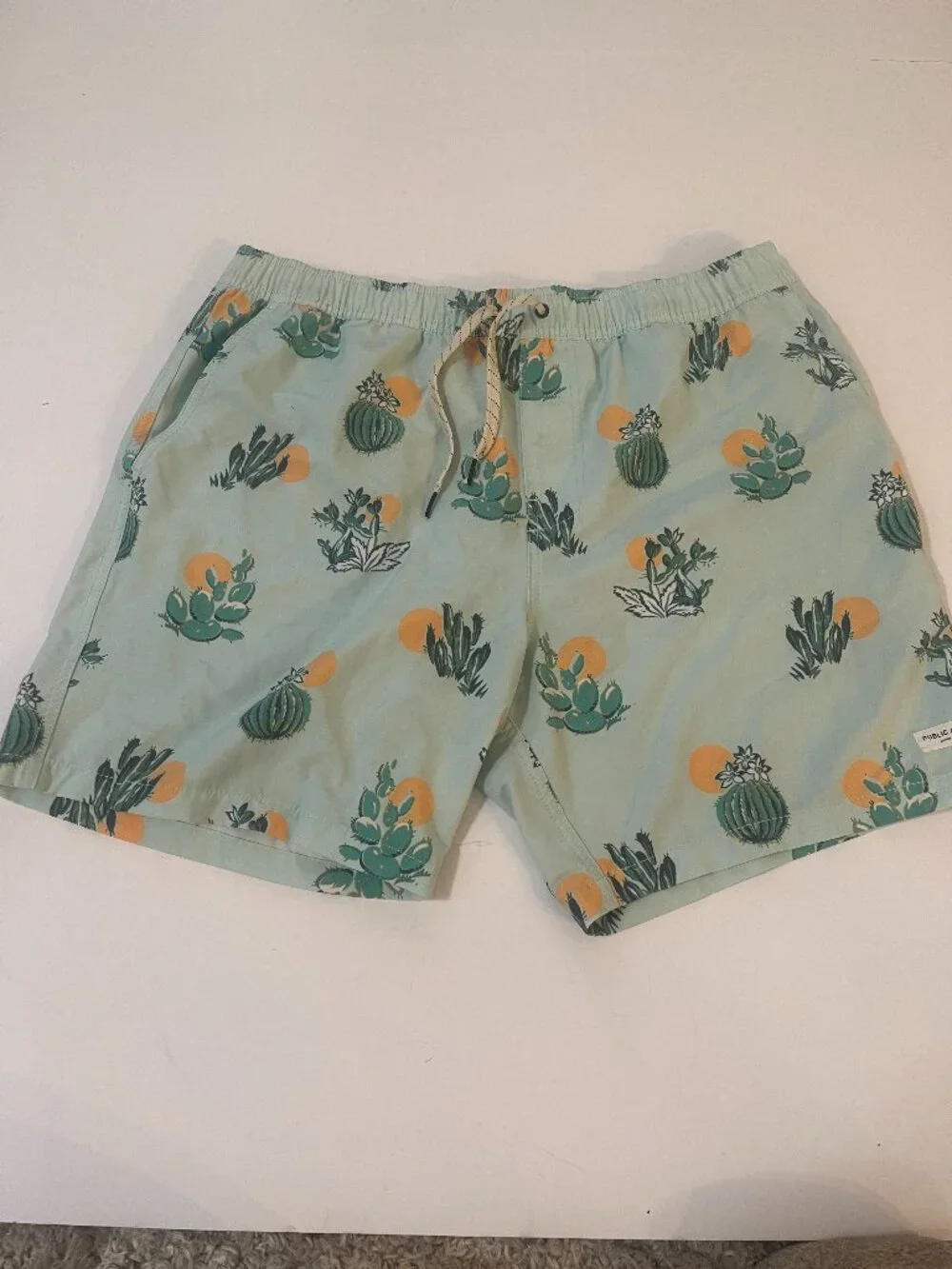 Public Access XL Cactus Print Swim Trunks Mint Green Beach Shorts
